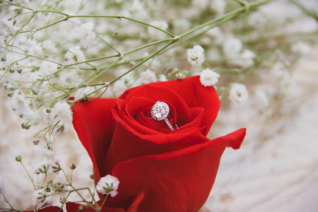 Proposal rose and ring amid wedding flowers