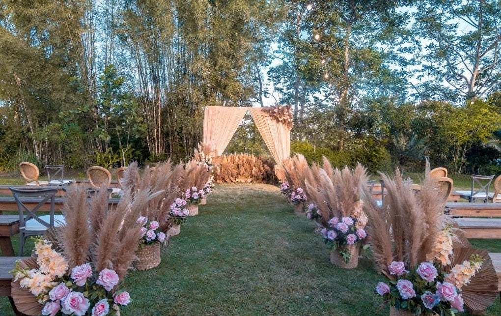 Aisle of pampas grass and flowers