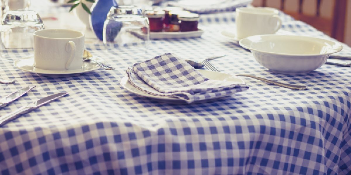 Table setting with napkins, cups, and plates on a blue white checkered tablecloth