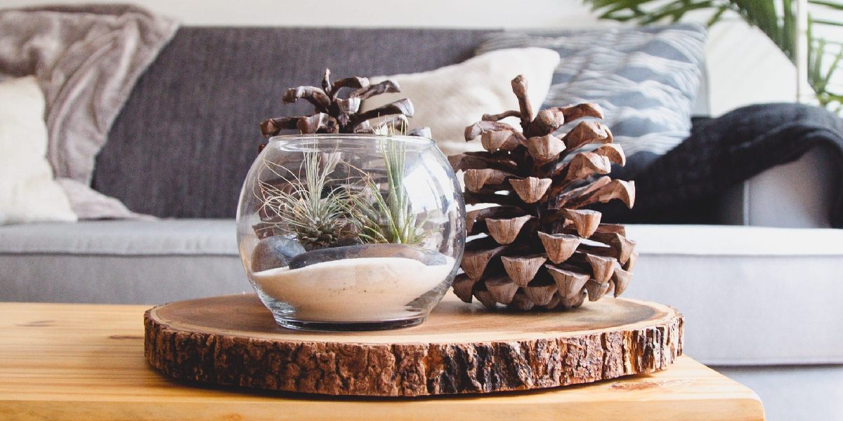 Modern Home Decor Ideas: Coffee Table Centerpiece With Terrarium And Pine Cones On Wood Slice