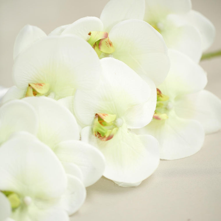 40 Cream Silk Orchids Stem Artificial Orchid Flowers Efavormart 1083