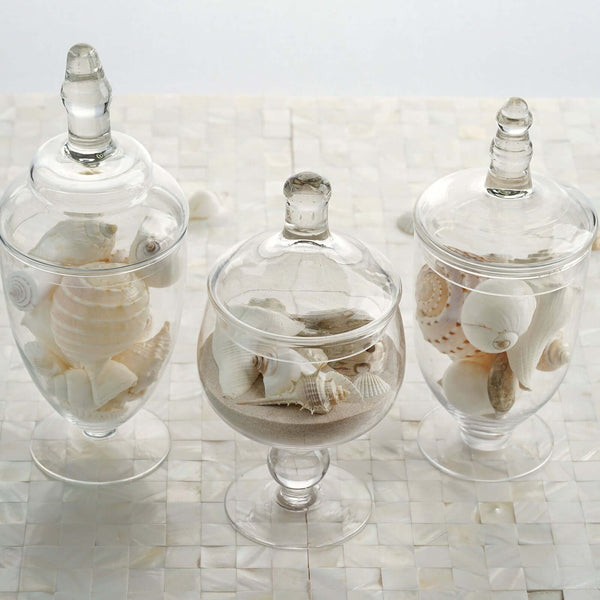 Set of 2, Clear Glass Apothecary Buffet Party Favor Candy Jars With Snap  On Lids - 10/12