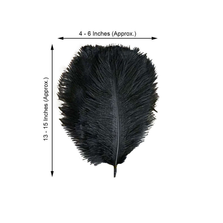 12PCS 13-15 Fabulous Natural Ostrich Feathers Plume for Wedding  Centerpieces