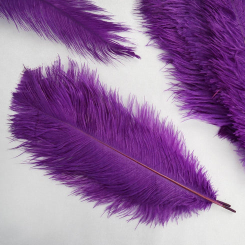 purple ostrich feathers