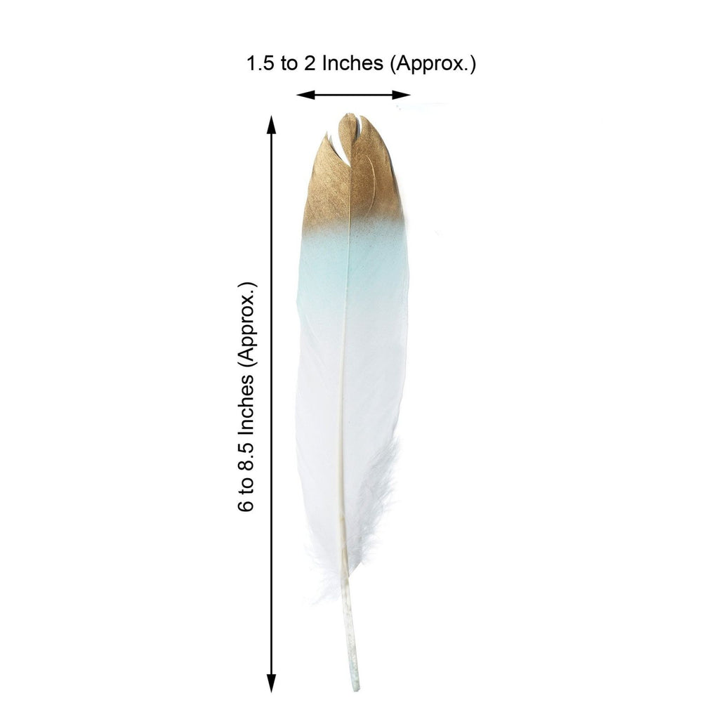 Dual Tone Real Goose Feathers - Craft Feathers for Party Decoration ...