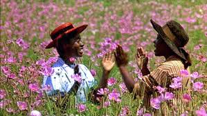 The Color Purple Film