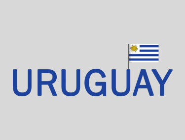 White T-shirt with Uruguay's Flag and name.