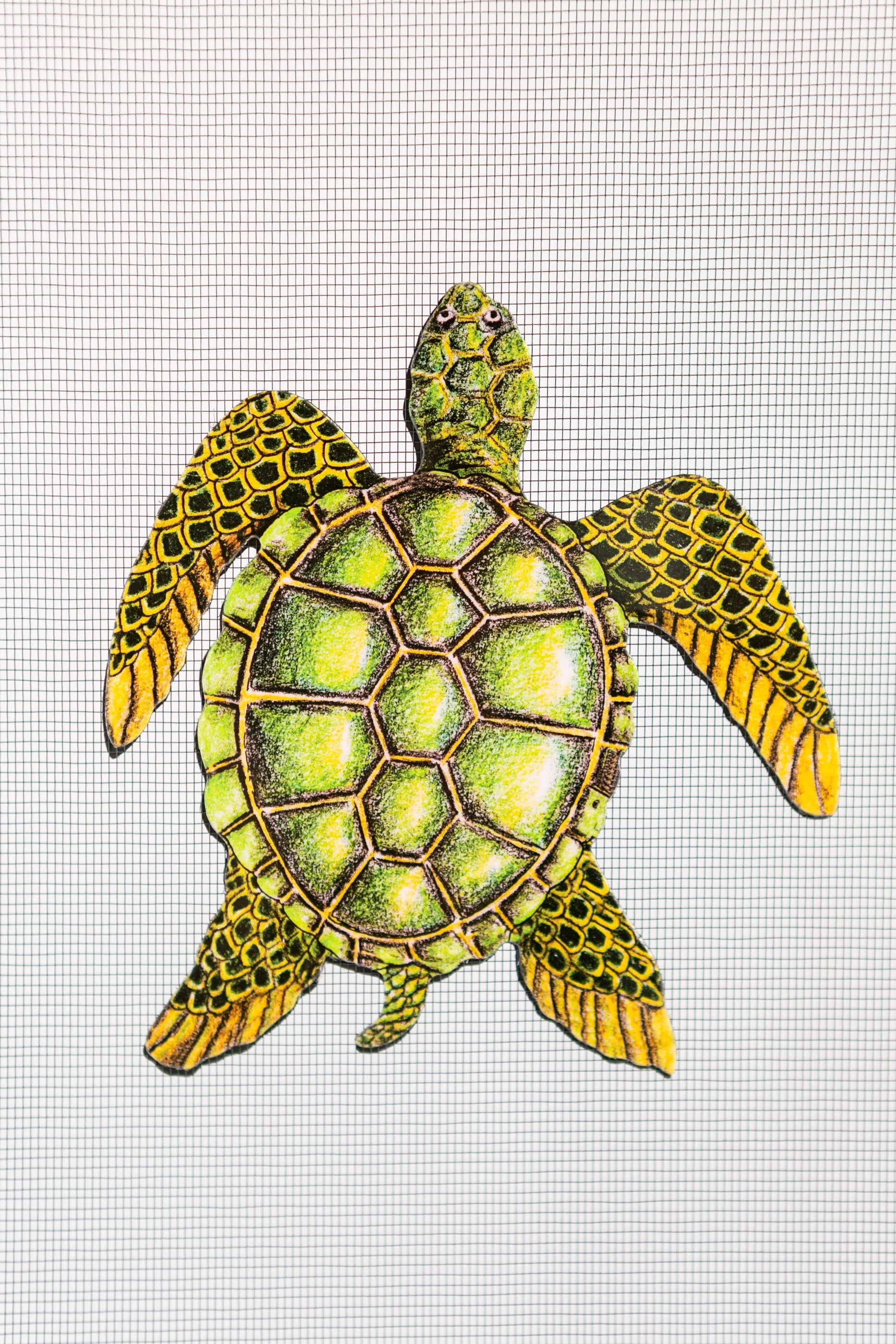 sea-turtle-screen-door-saver-magnets-5-x-5-25-window-film-world