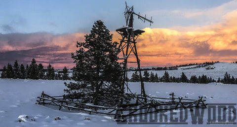 Windmill in Winter ~ Natural edge frame
