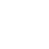 The Scout Guide