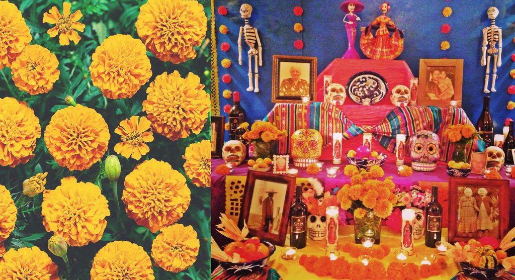 How to Make a Day of the Dead Altar | ARTMEXICO – ArtMexico