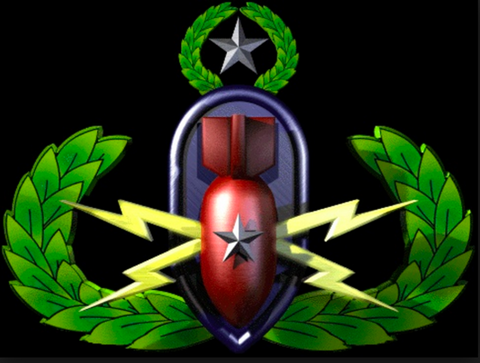 Badge Meaning 