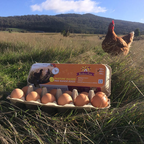 A box of a dozen eggs next to one of our hens, with Mount Cole in the background.