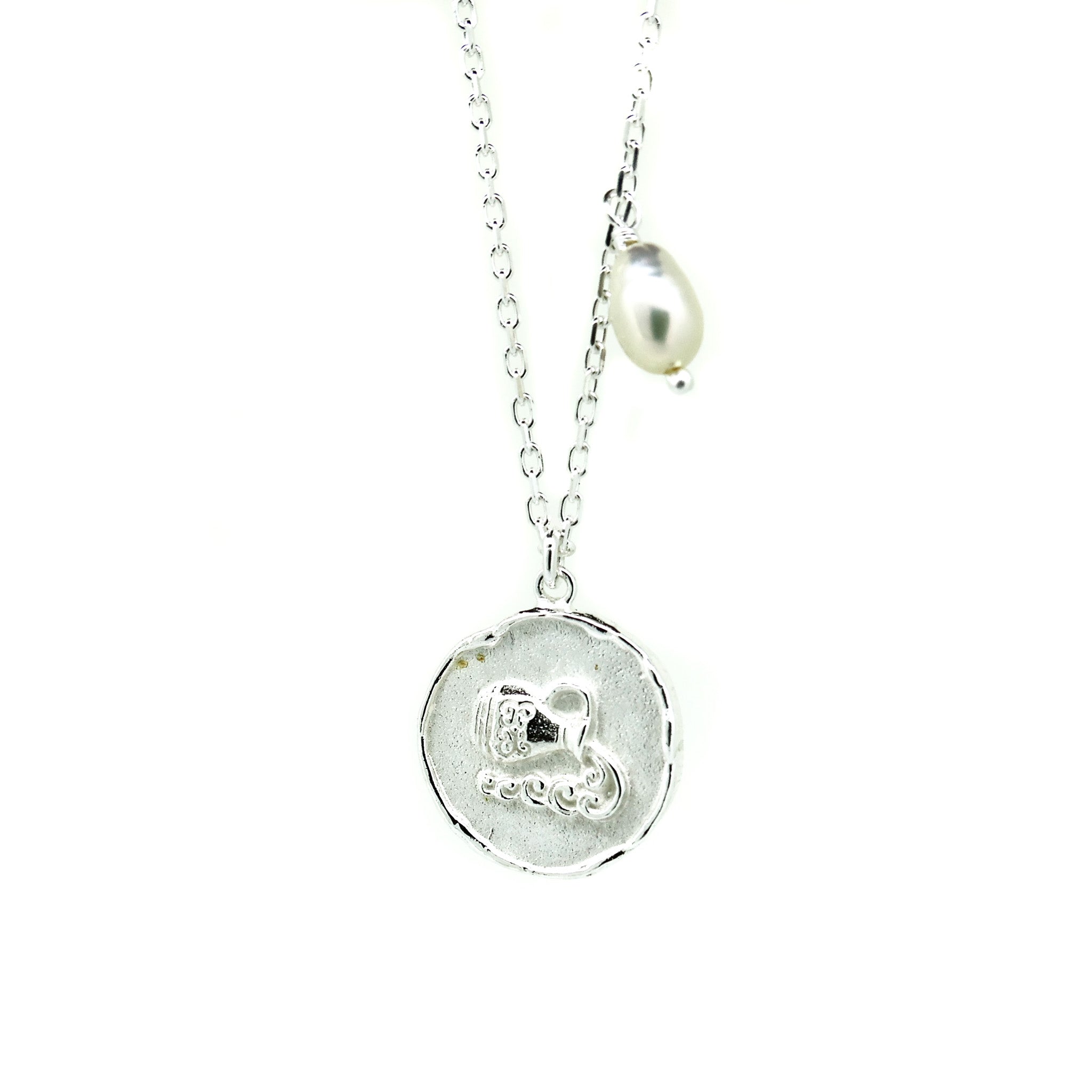 Zodiac aquarius crystal necklace in silver