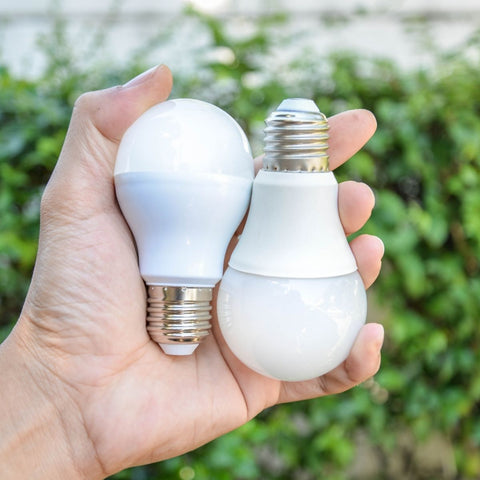 energy saving LED light bulbs being held in persons hand