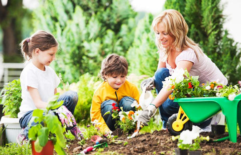 Family Time In Garden