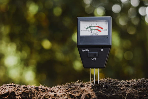 Testing PH of Soil