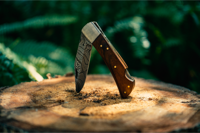 Handmade Serbian Chef's Knife – Ken Fuyuki