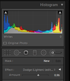 how to use lightroom adjustment brush