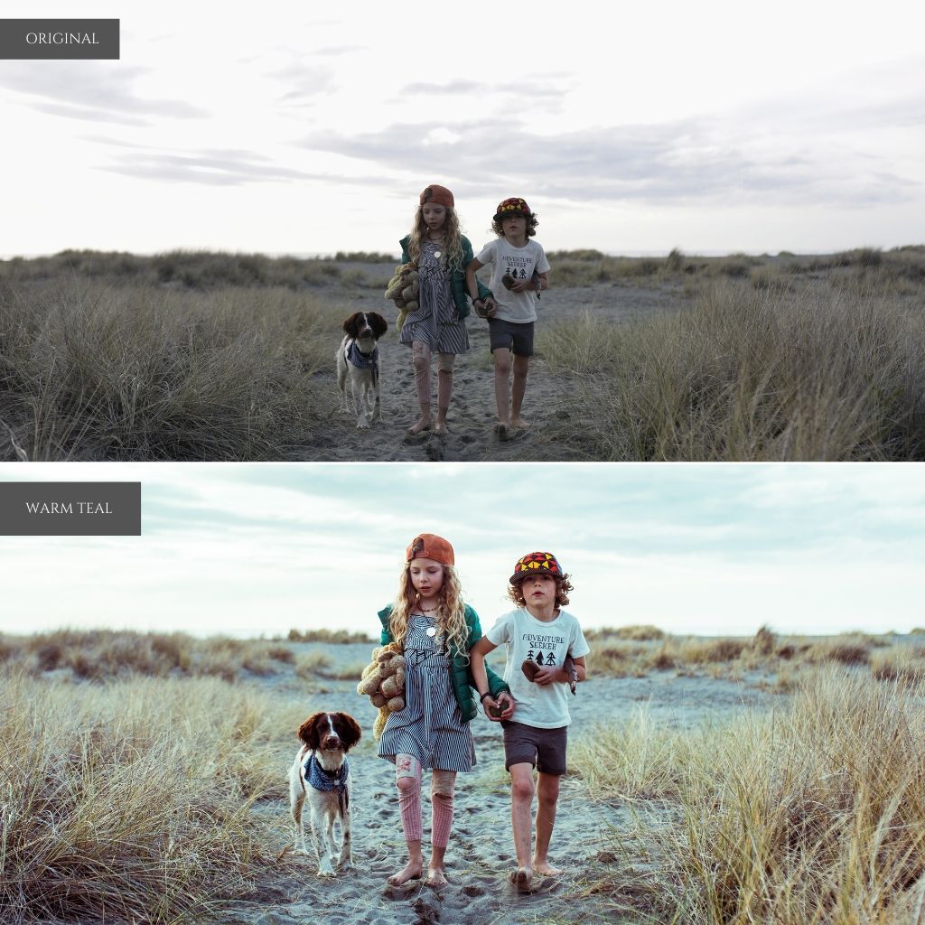 lightroom film presets