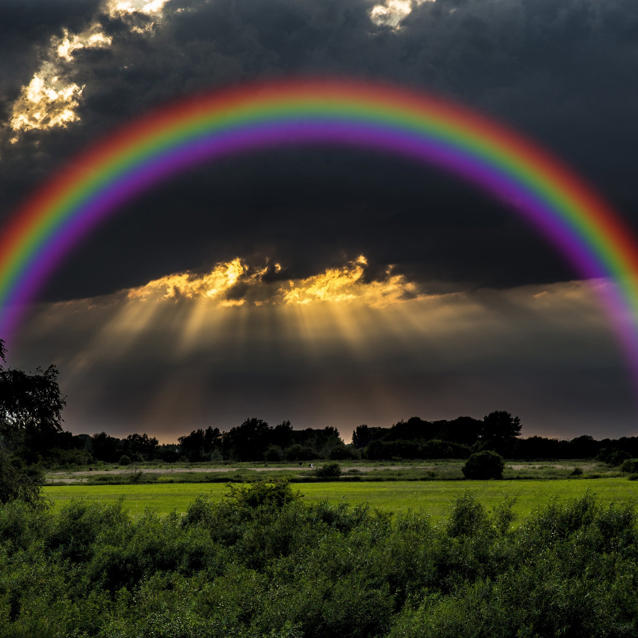 rainbow overlay photoshop free