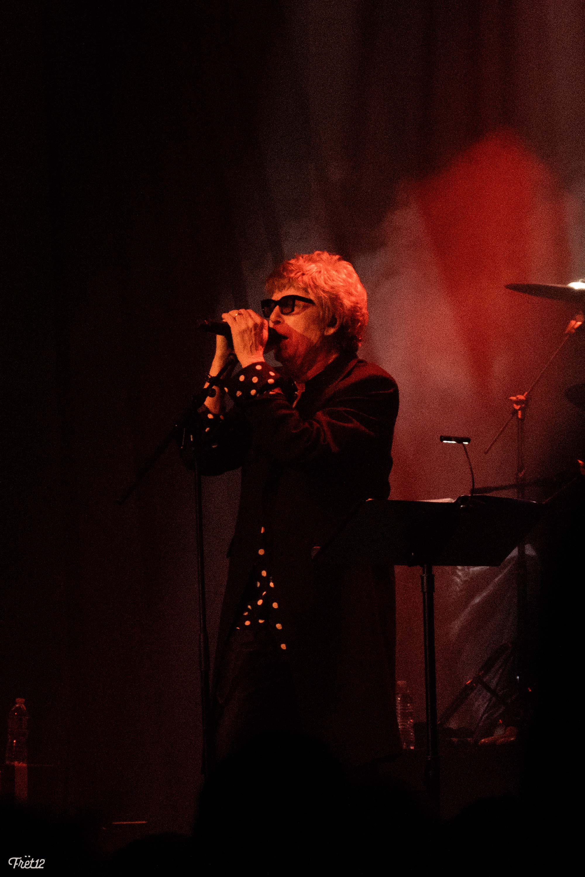 The Psychedelic Furs at the Salt Shed - Photos by FRET12