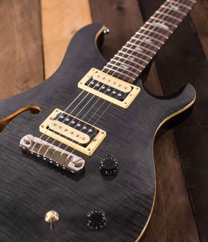 PRS SE Custom 22 Semi-Hollow - Gray / Black - FREE DOMESTIC