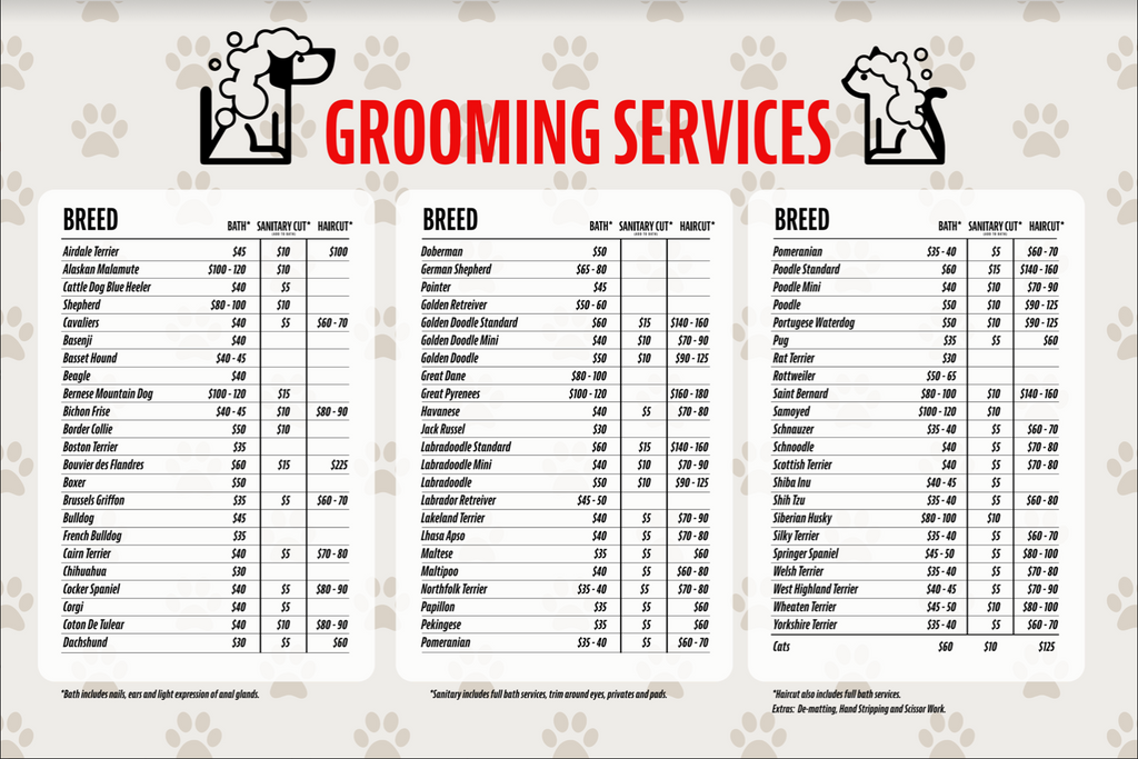 The 10 Best Dog Groomers Near Me (with Prices & Reviews)