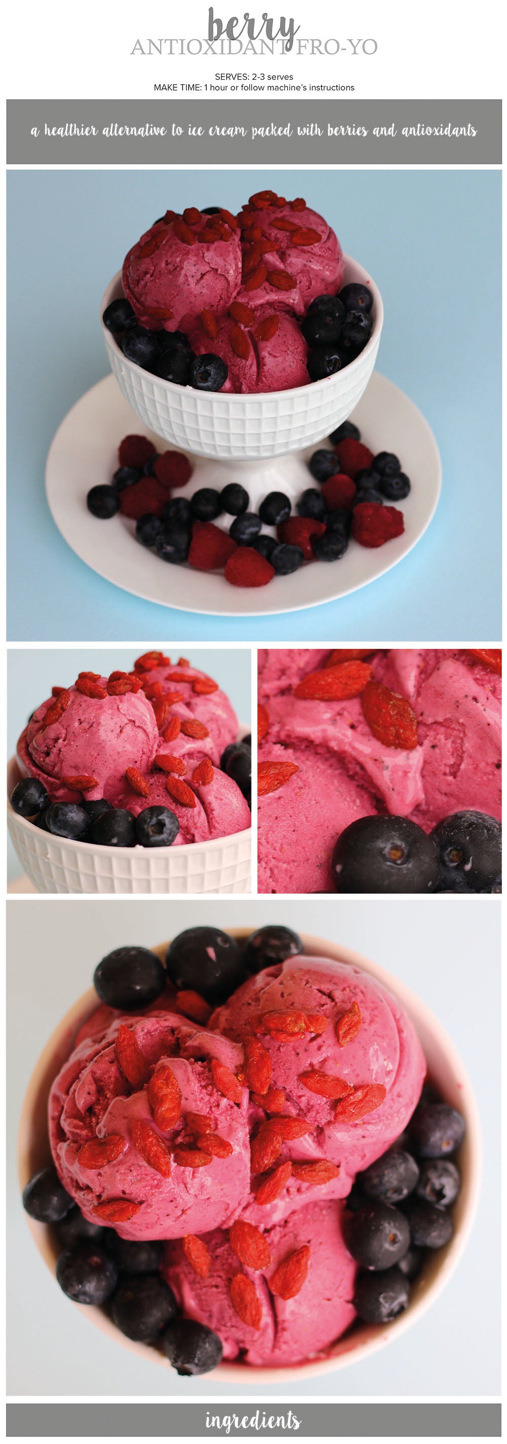 Berry Antioxidant Froyo Recipe