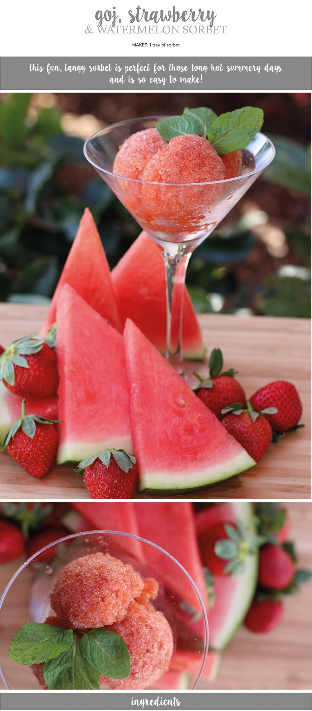 Goji, strawberry and watermelon sorbet recipe