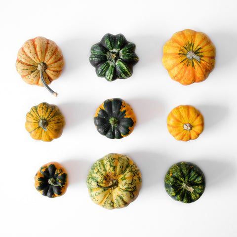 pumpkins