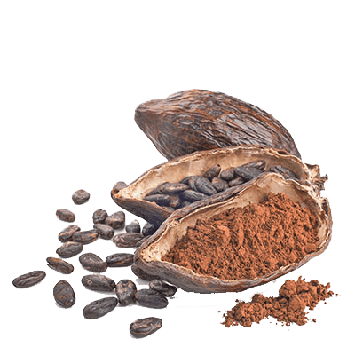 Biologische cacao uit Peru