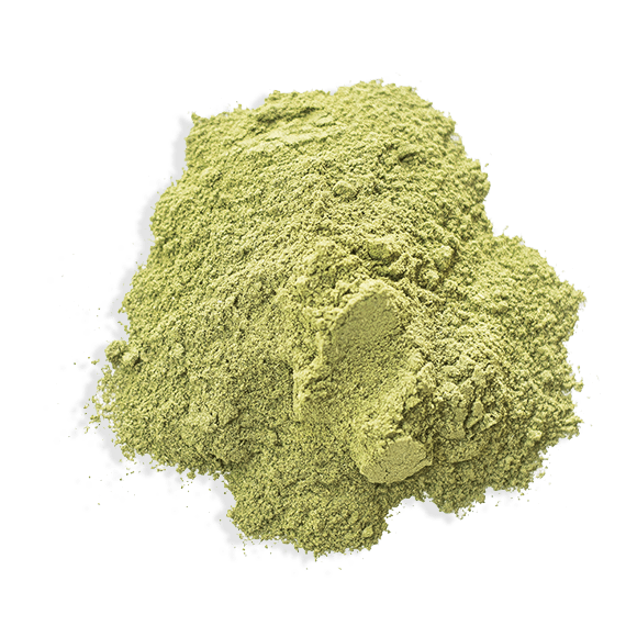 Moringa Png