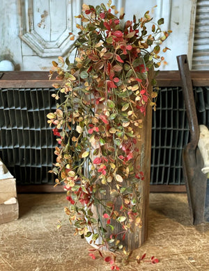 #V91666 Red Bog Pimpernel Hanging - 34In - Old Farmhouse Primitives 