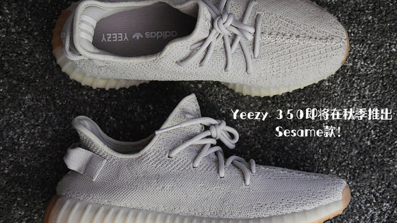 PTMEN Review Adidas Yeezy Boost 350 V2 Static ph n