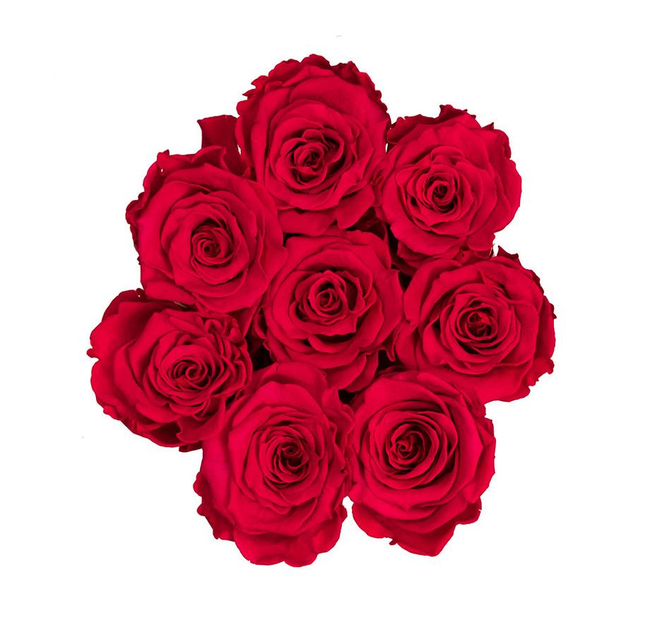 The Million Roses Europe | The Million Basic - Red Eternity Roses ...