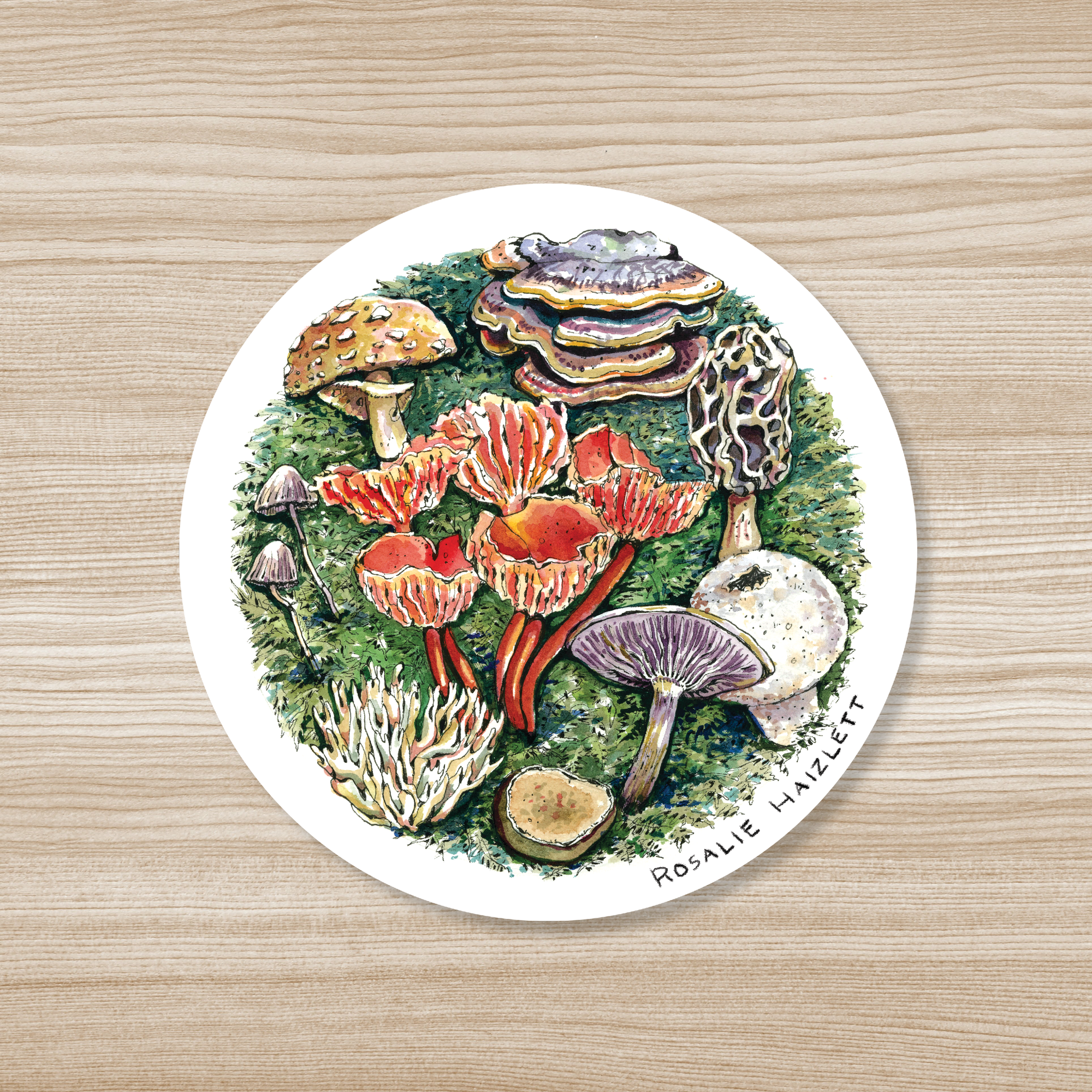 Mushroom Foraging Vinyl Sticker Sheet+Root People Mushroom