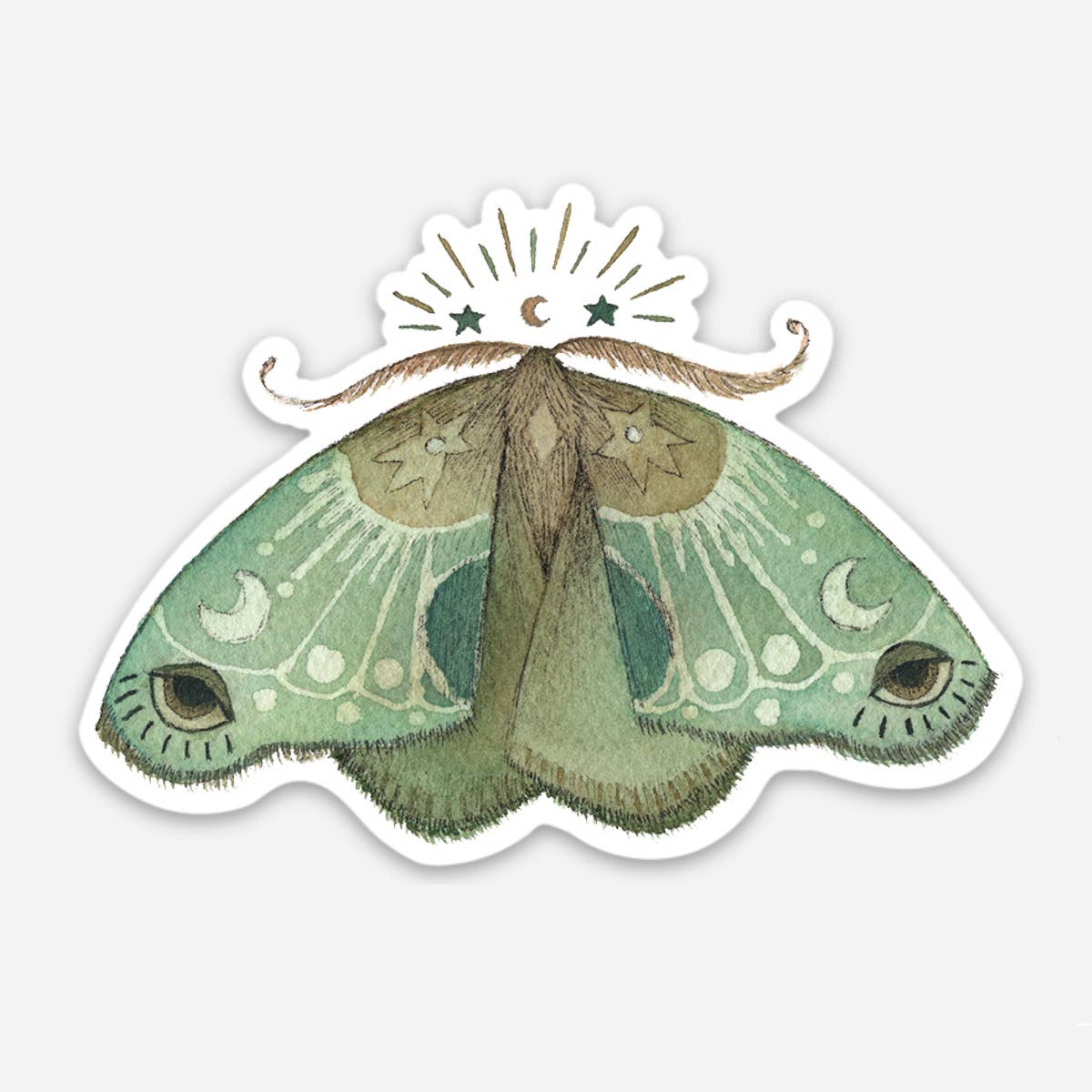 Luna Moth Sticker - Wild Roots Apothecary