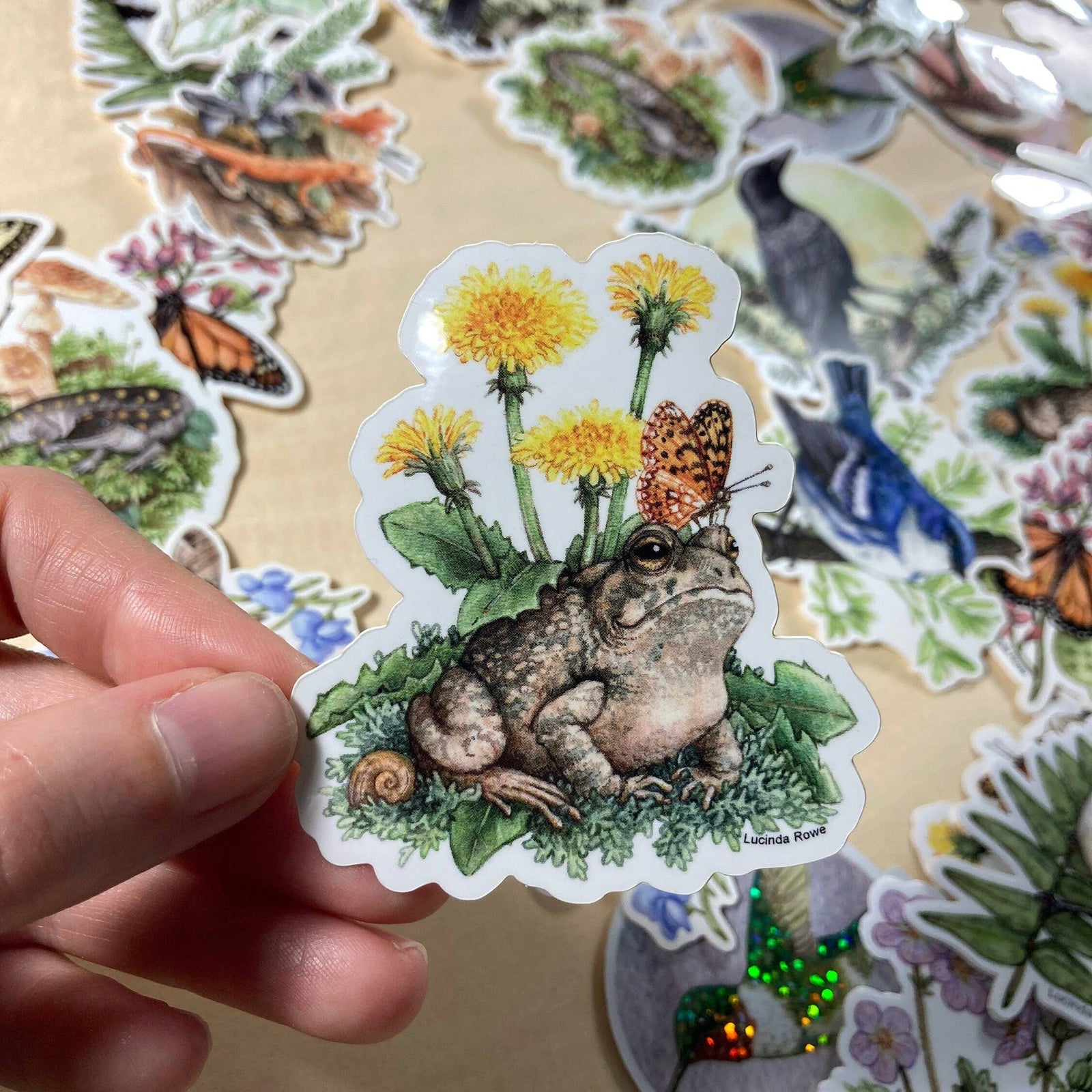 Luna Moth Sticker - Wild Roots Apothecary