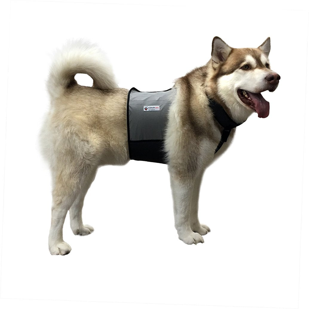 cooling vest for husky