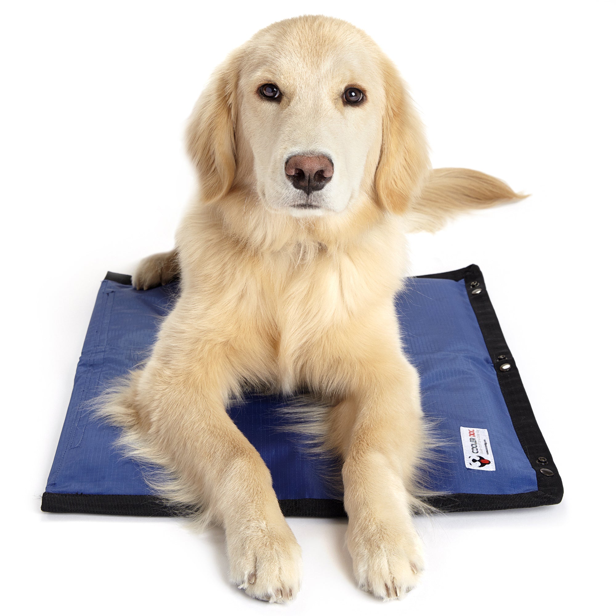 how to use a cooling mat for dogs