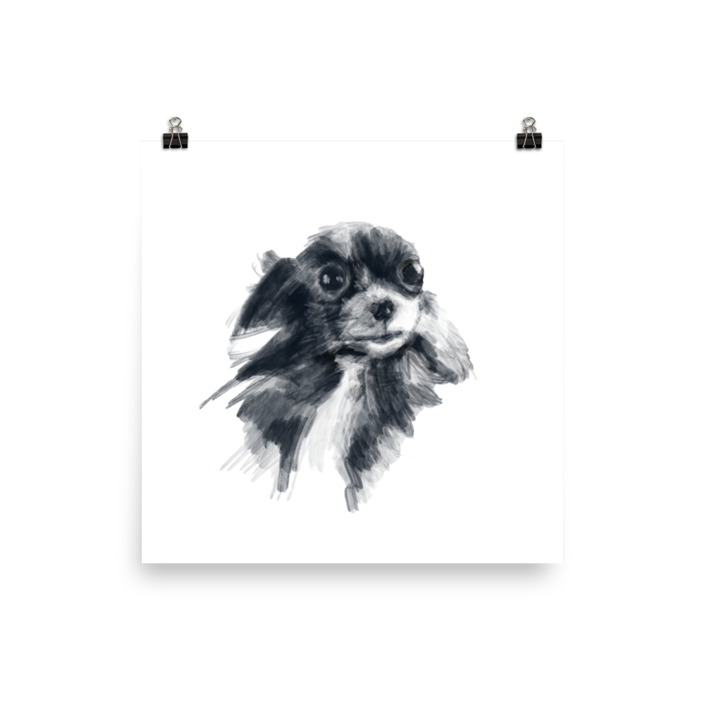 79 Chihuahua Drawing Black And White L2sanpiero