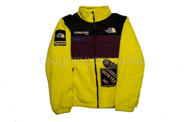 north face expedition fleece