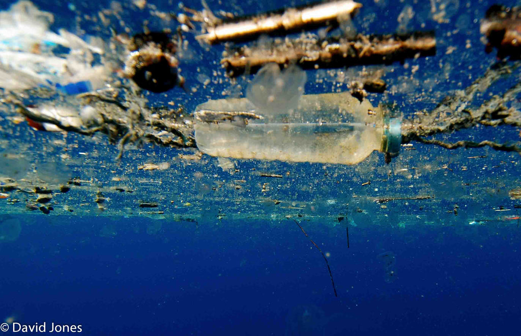 Plastic Ocean Foundation - Copyright by David Jones