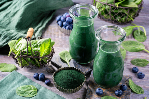 spirulina in a jug 