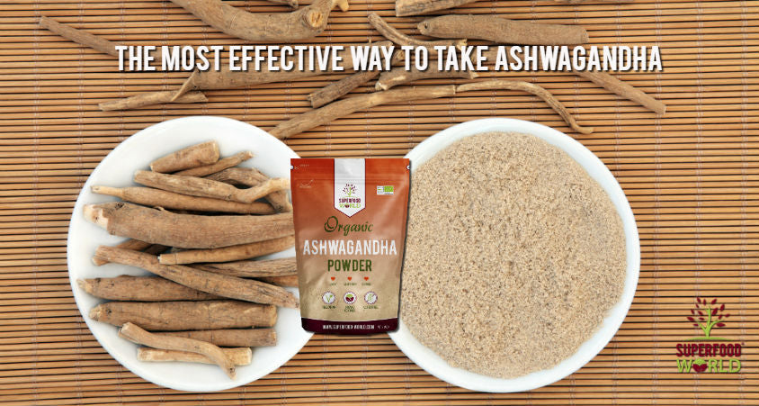 The Most Effective Way to take Ashwagandha - Superfood World