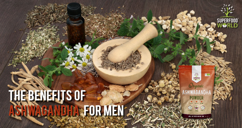 The Benfits of Ashwagandha for Men