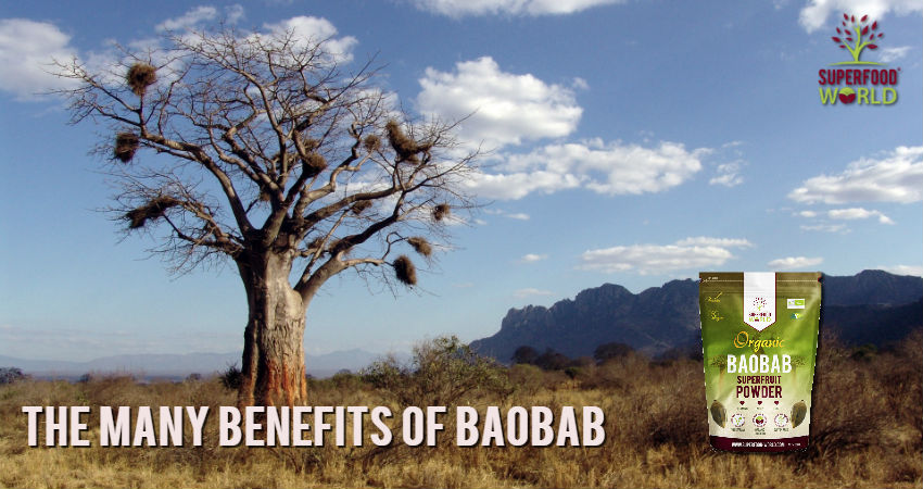 Baobab