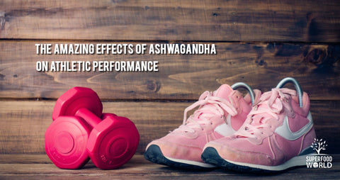 Effects of Ashwagandha on Athletic Performance