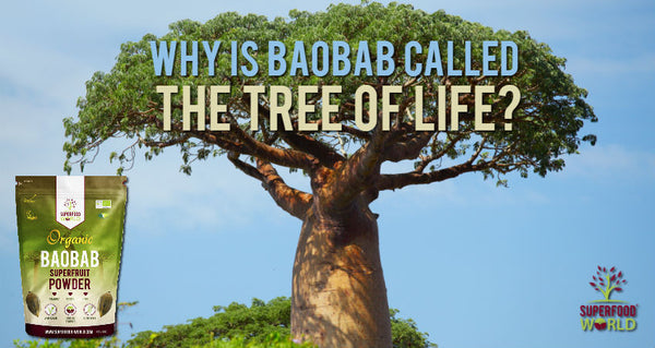 why is baobab called the tree of life?